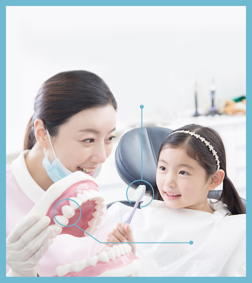 치아가 교체되는 어린이에게 가장 많이 발생하는 치아 질환! 치아의 발육 및 ...관련 썸네일 이미지